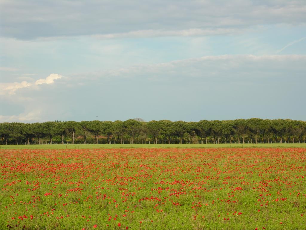 Appartamenti Villaggio San Siro Bibione Dış mekan fotoğraf